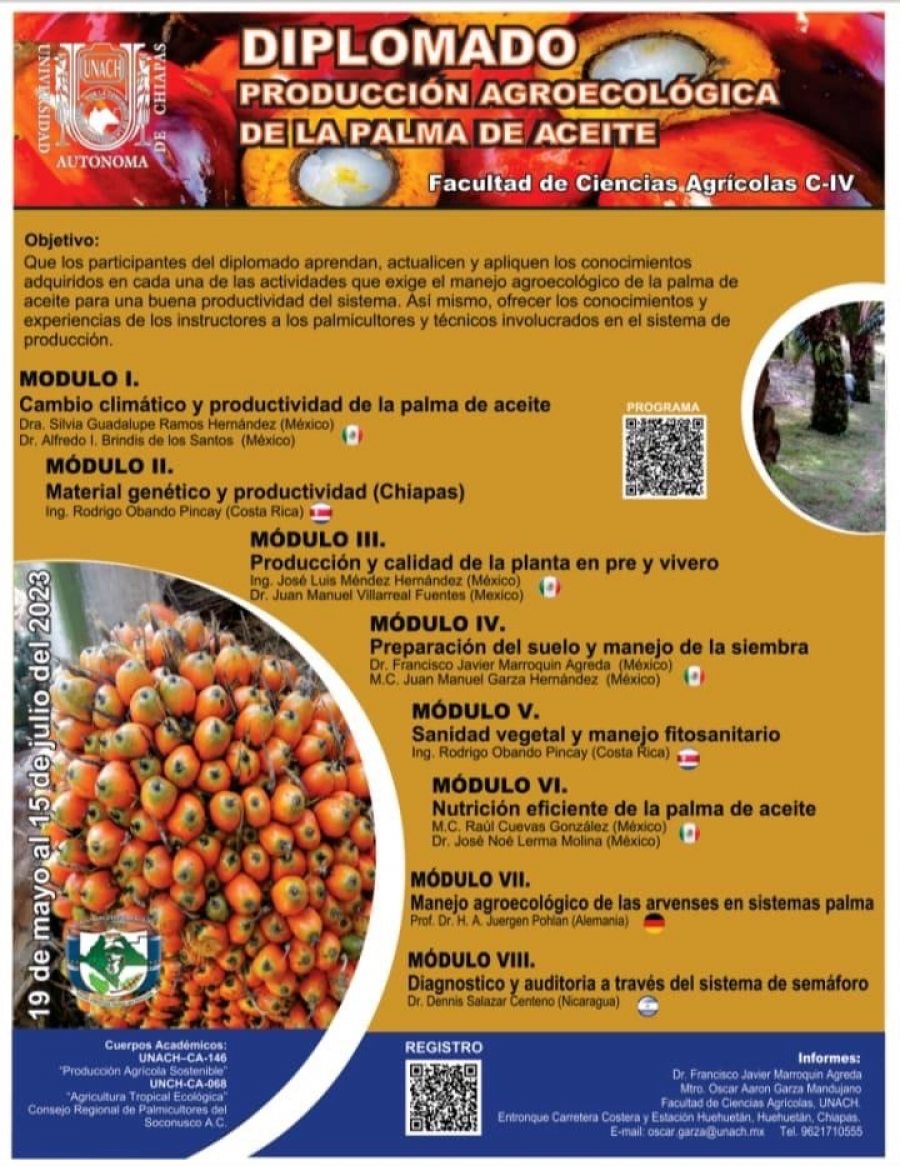 Impartirá UNACH diplomado sobre el manejo agroecológico de la Palma de Aceite