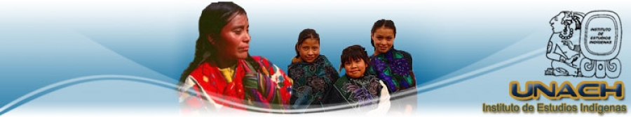 Investigadores del IEI-UNACH Promueven micro-financiamiento de la actividad artesanal para elevar IDH en municipios indígenas