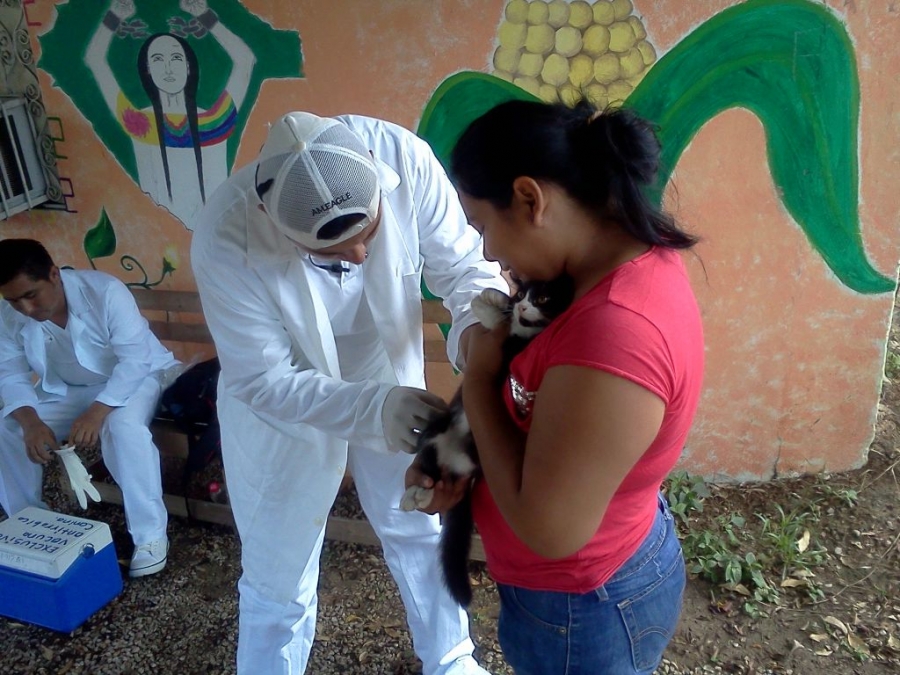 En Palenque Participan alumnos de Medicina Veterinaria y Zootecnia de la UNACH en campaña de vacunación antirrábica