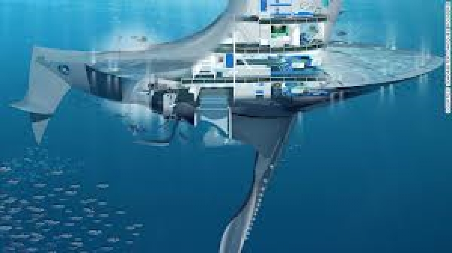 Expondrán en la UNACH avances en la investigación submarina