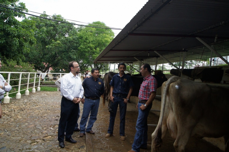 Firmará UNACH convenio con chiapaneco lider en producción de ganado suizo  