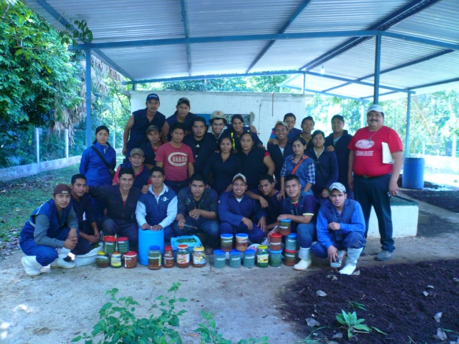 Realizan alumnos del Centro Maya de la UNACH prácticas profesionales en la Unidad Regional Universitaria del Sur Sureste Chapingo