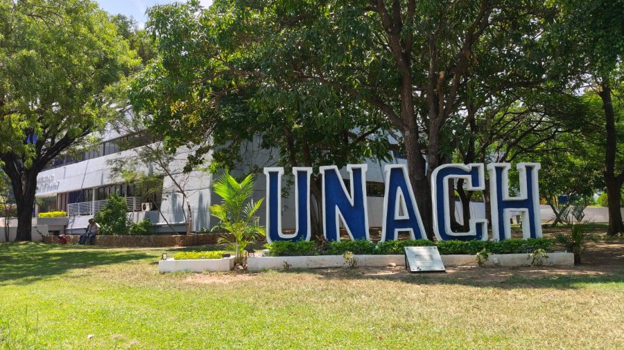 UNACH registra en base de datos internacional la huella gen&eacute;tica del &ldquo;Pl&aacute;tano Chiapas&rdquo;