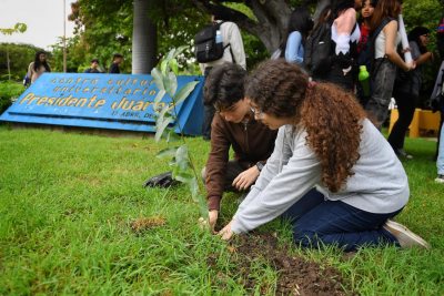 Participan estudiantes de la UNACH en Jornada de Reforestación